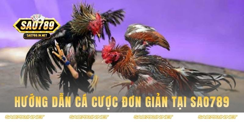 Hướng dẫn cá cược đơn giản tại Sao789